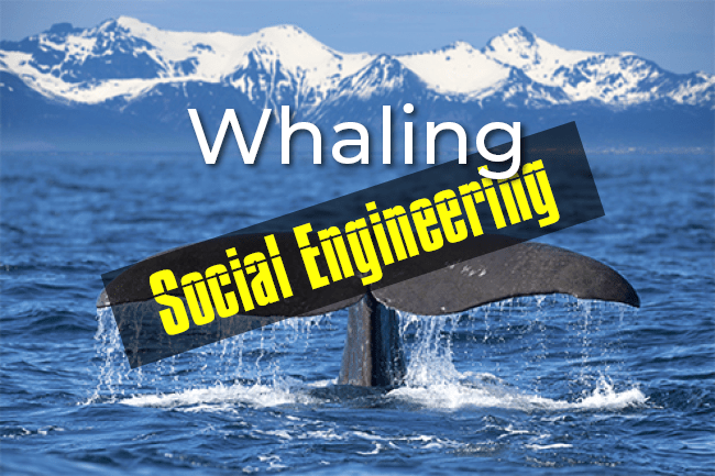 What Is a Whaling Attack